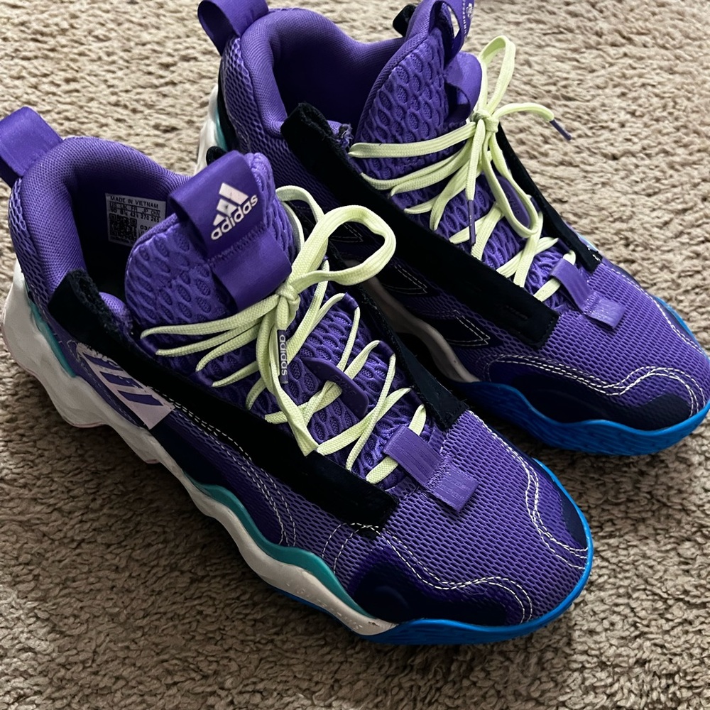 Adidas athletic shoes